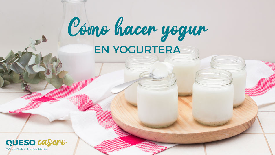 Como hacer yogur en casa con fermentos naturales 